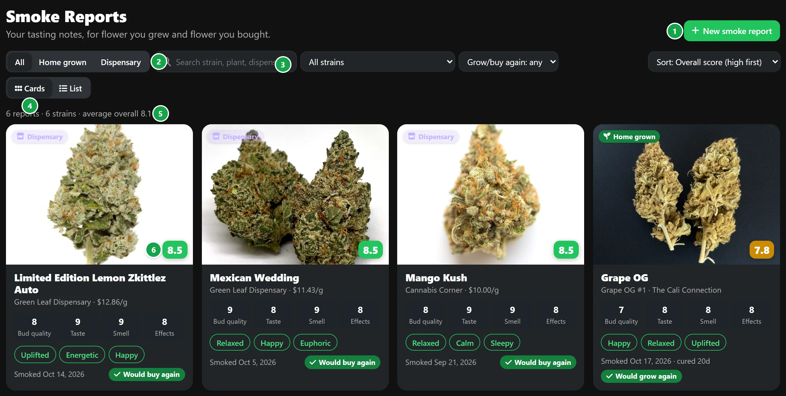 The Smoke Reports page: New smoke report, the filters, the summary and the report cards