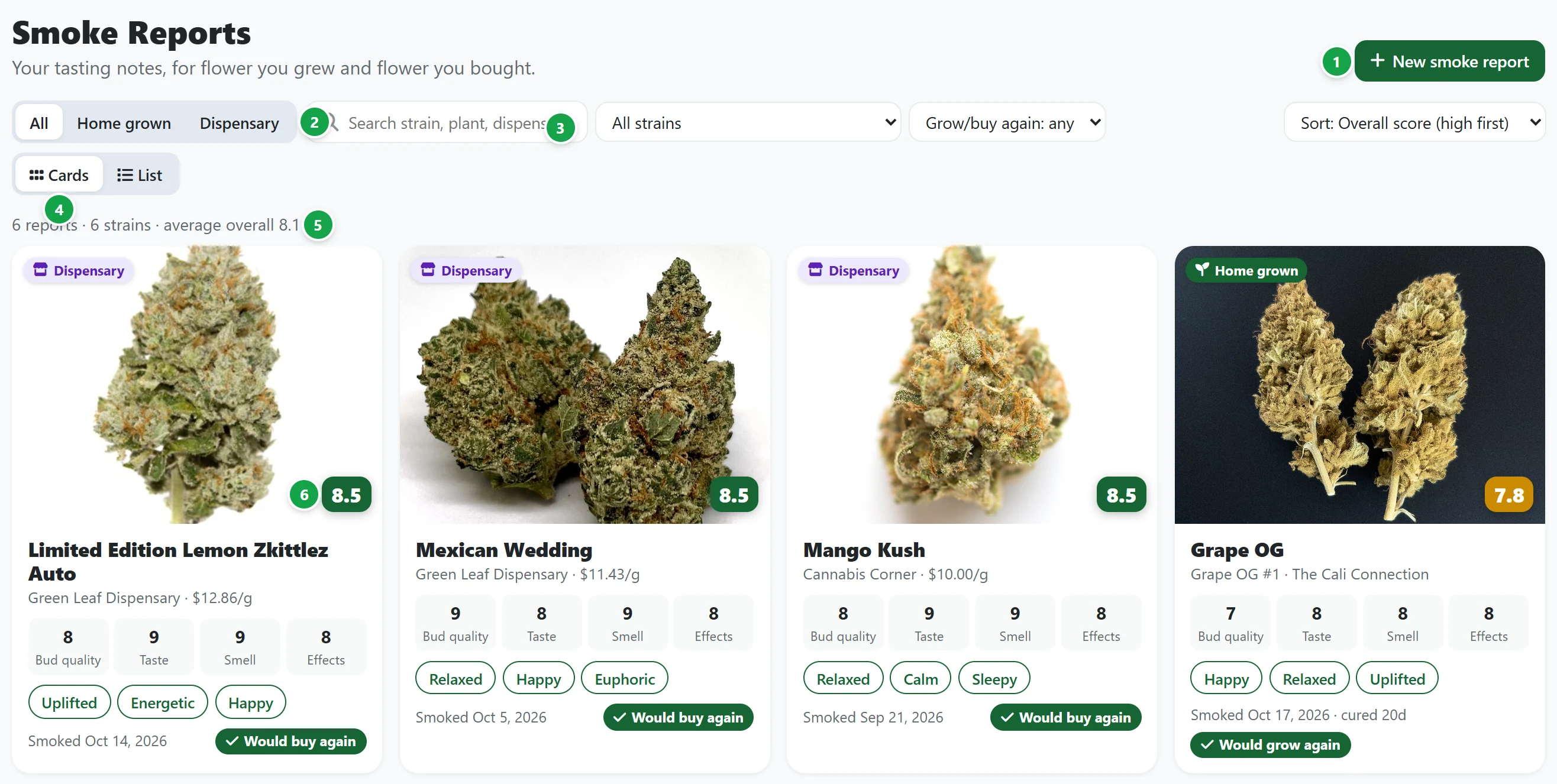 The Smoke Reports page: New smoke report, the filters, the summary and the report cards