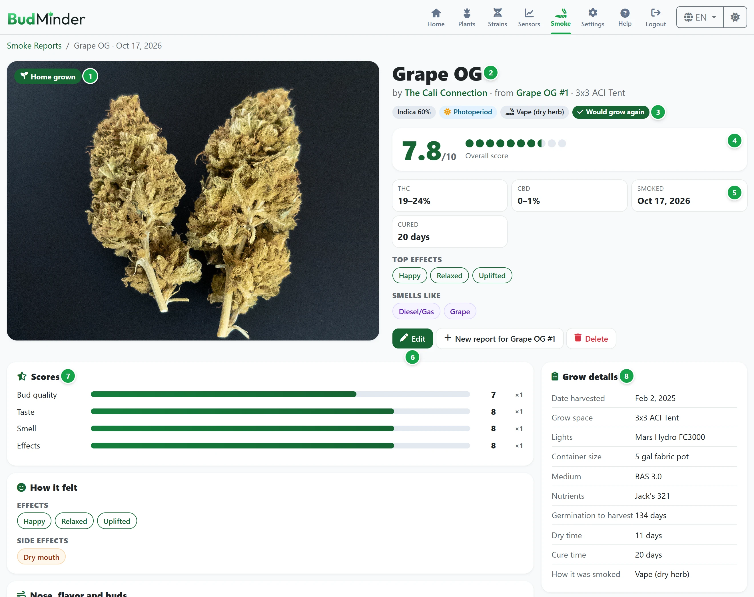 A smoke report's page: the photo, the strain and plant, the chips, the overall score, the facts, the buttons, and the Scores and Grow details cards