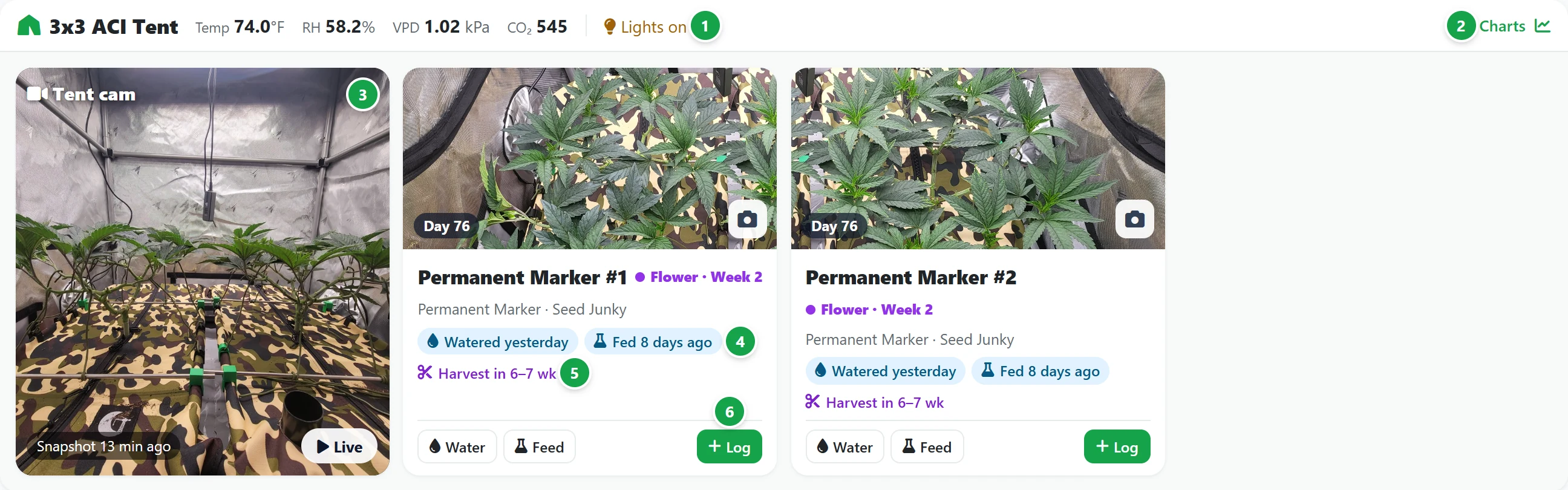 One tent on the Today page: its readings, the camera picture and two plant cards